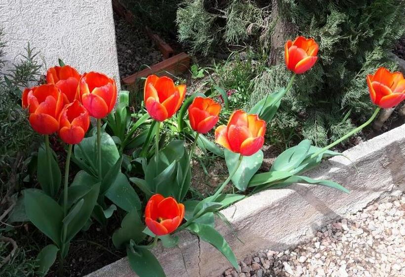 צימר Villa Chrisama Flayosc