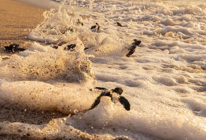 Luxury And Mordern Beachfront Condo By Bt Homes