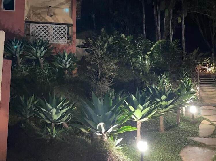 Hotel Pousada Rota Dos Macacos   02   Macacos   Mg