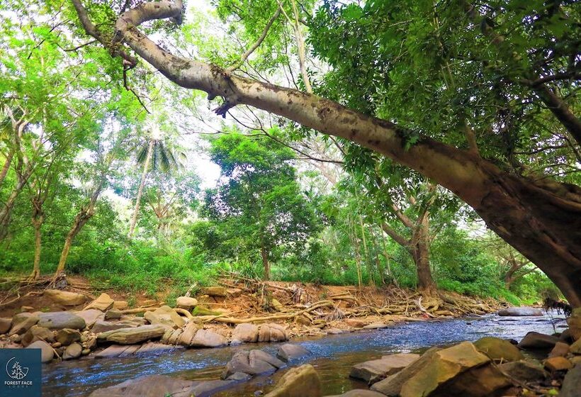 بنسيون Forest Face Lodge