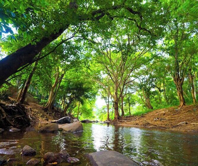 بنسيون Forest Face Lodge