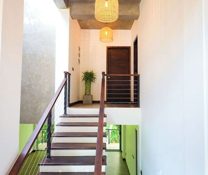 بنسيون Forest Face Lodge