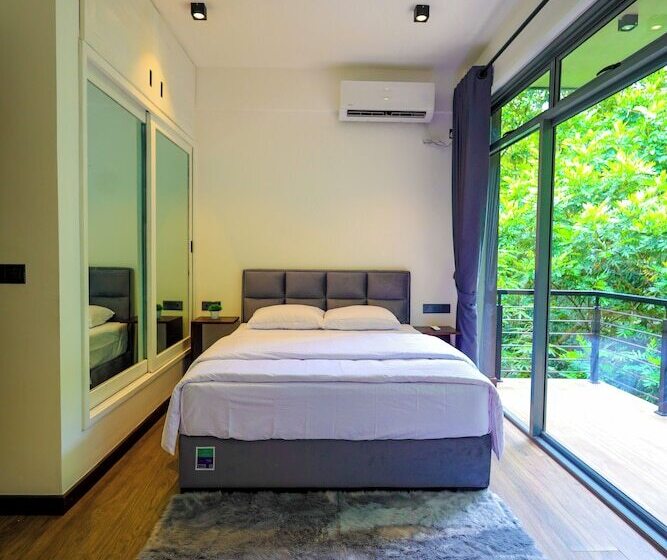 بنسيون Forest Face Lodge