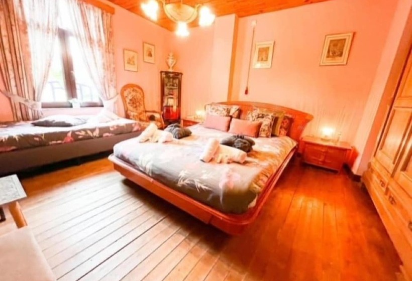 Bed And Breakfast Foret D Animaux