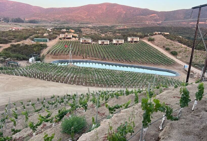 Castillo Toscana Hotel Boutique