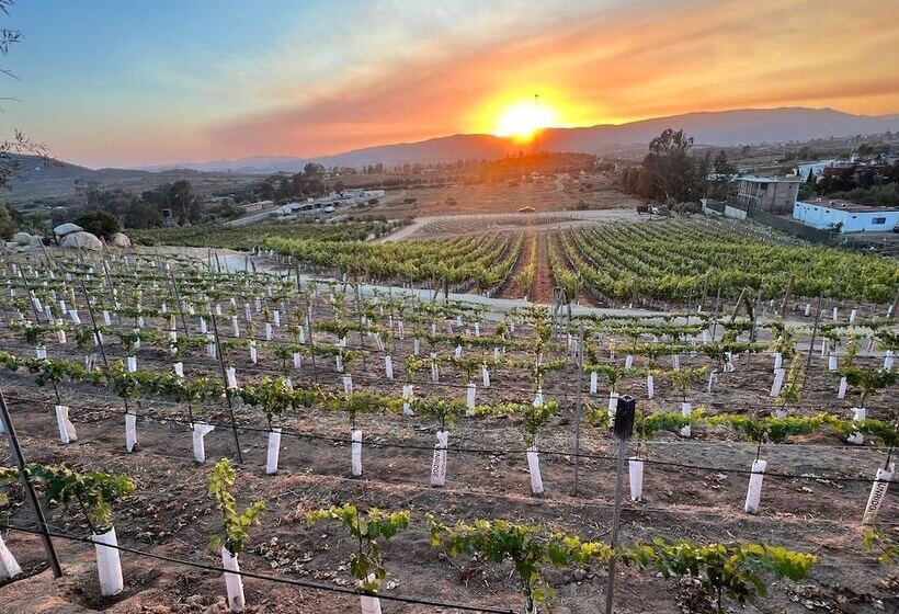 Castillo Toscana Hotel Boutique