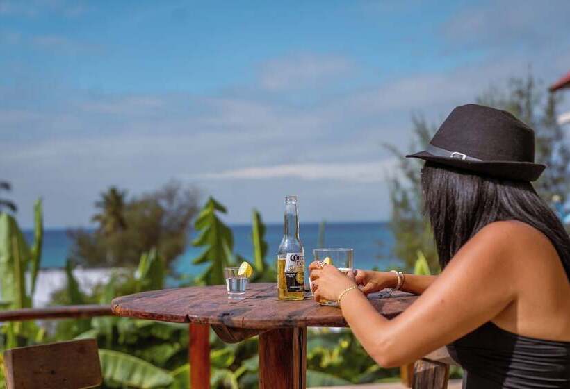 호텔 Mato Boutique