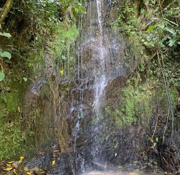 Kynzha   Cañon Del Combeima
