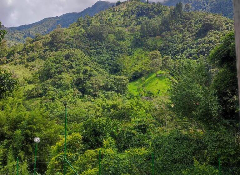 Kynzha   Cañon Del Combeima