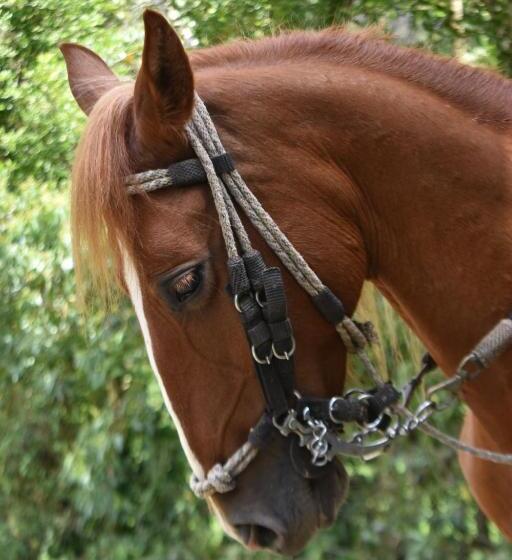 Kynzha   Cañon Del Combeima