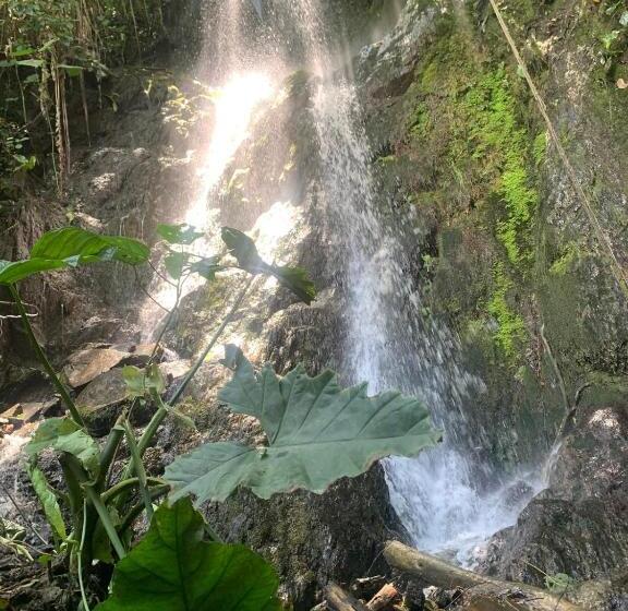Kynzha   Cañon Del Combeima