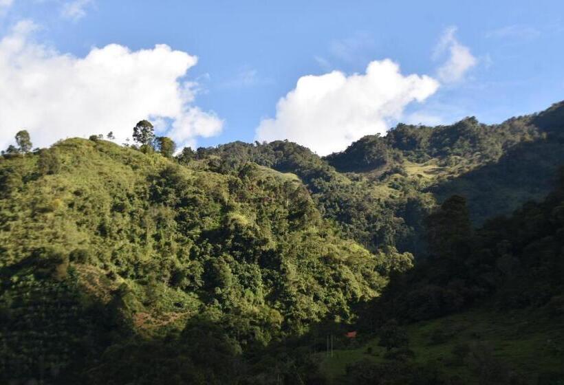 Kynzha   Cañon Del Combeima