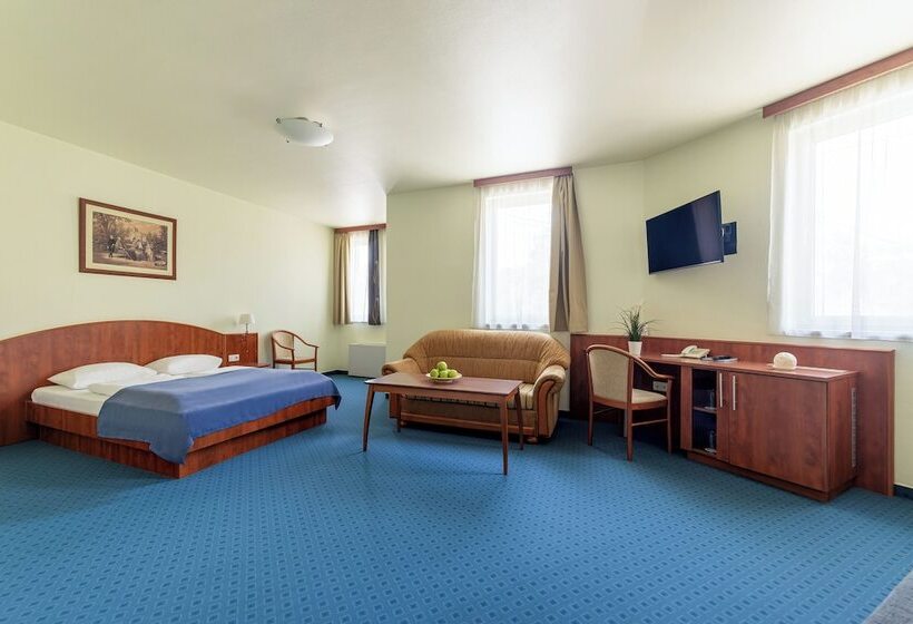 住宿加早餐 Villa Oliver Gödöllő