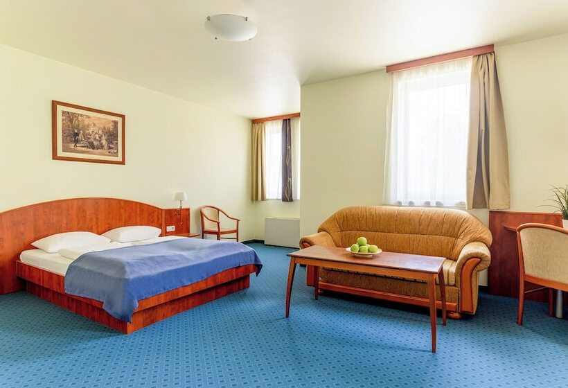 住宿加早餐 Villa Oliver Gödöllő