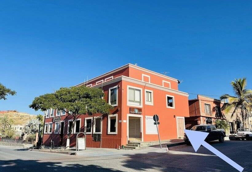 Suites Agave Centro Todos Santos