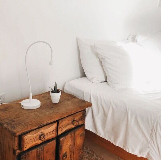 Suites Agave Centro Todos Santos