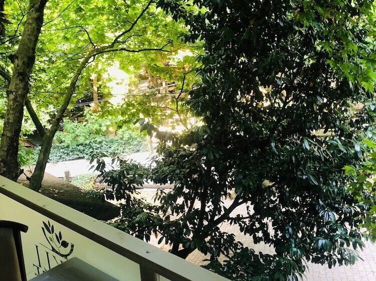 فندق Maşukiye Dream Homes