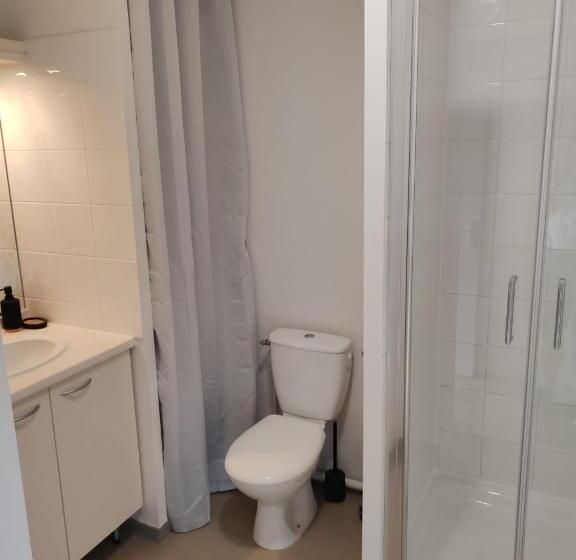 Appart Hotel   Gare Tgv   Courtine   Confluence   411