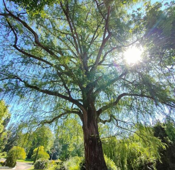 Bed and Breakfast Chambre D Hôtes Menthe