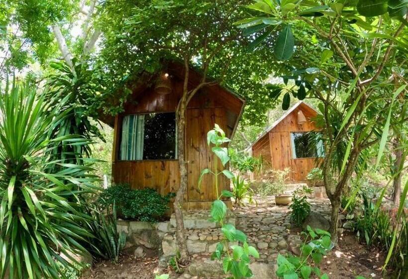 تختخواب و صبحانه Meo Homestay