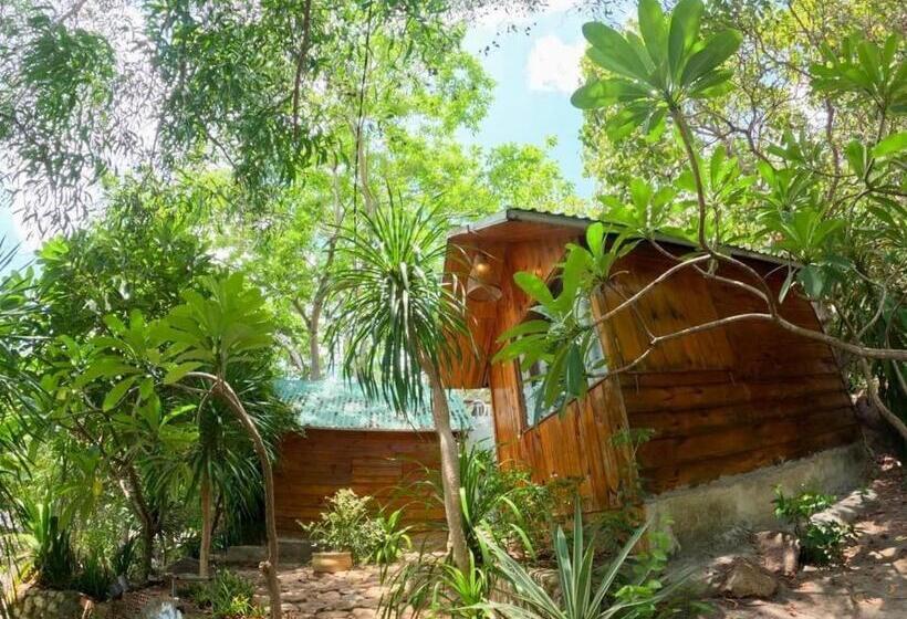 تختخواب و صبحانه Meo Homestay