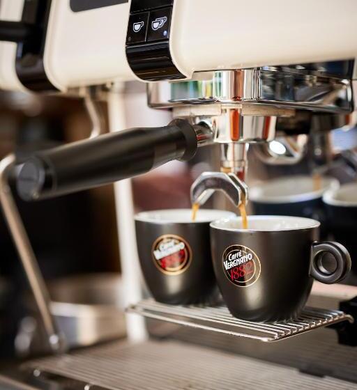 هتل Carol Park View