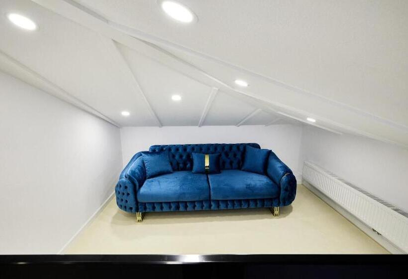 هتل Carol Park View