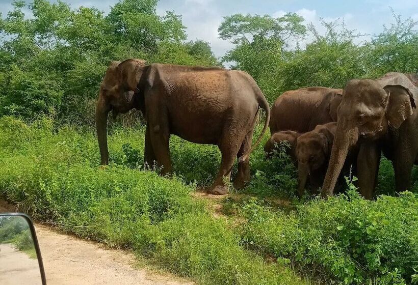 호텔 Elephant Stay