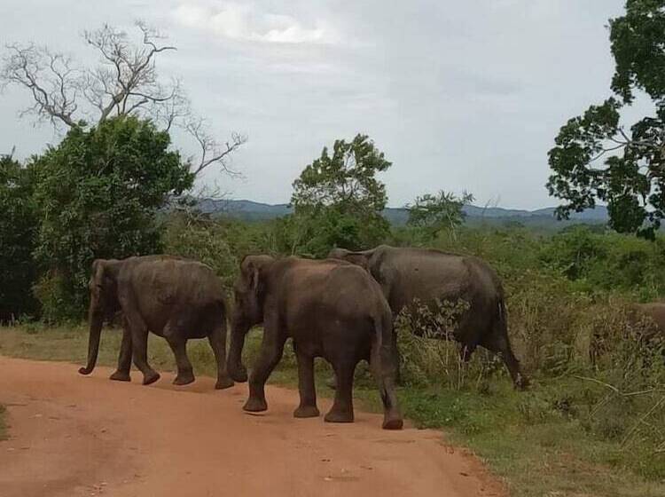 호텔 Elephant Stay