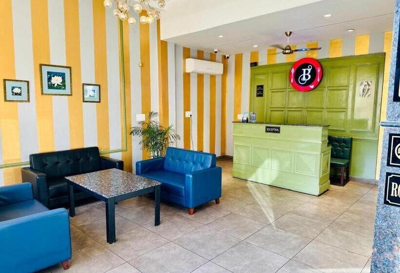 Отель Golden Fern