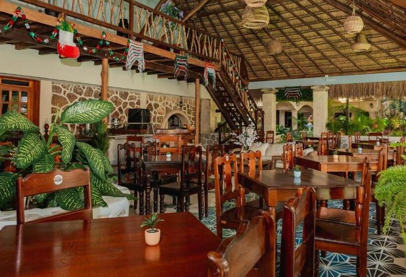 Отель Hostal Nojoch Che