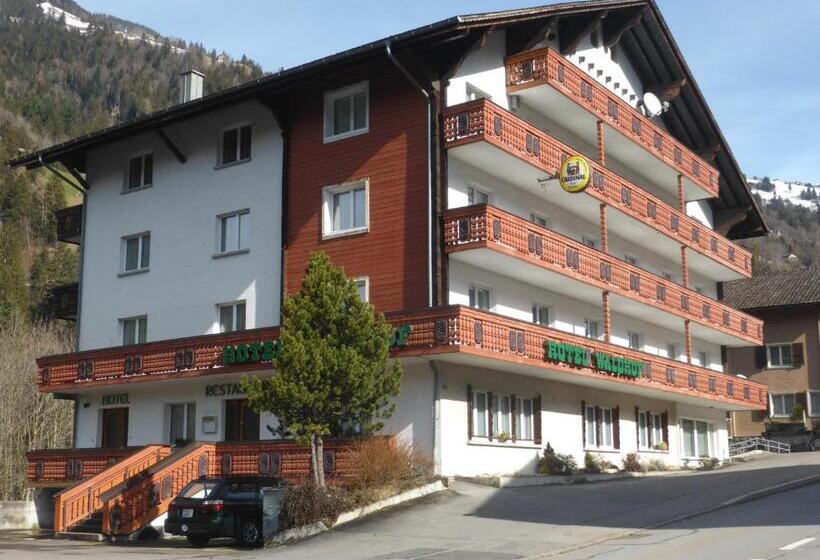 فندق Waldhof