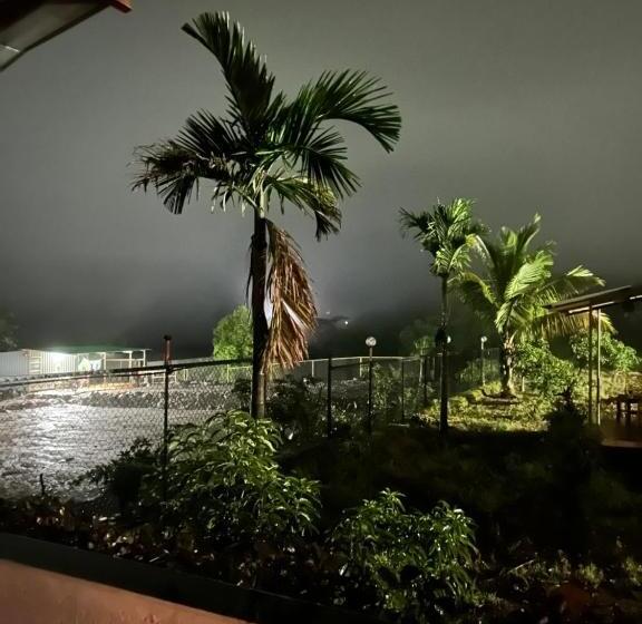 ホテル Wild Flower Agro Resort