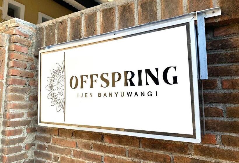 Offspring Ijen Hostel Banyuwangi