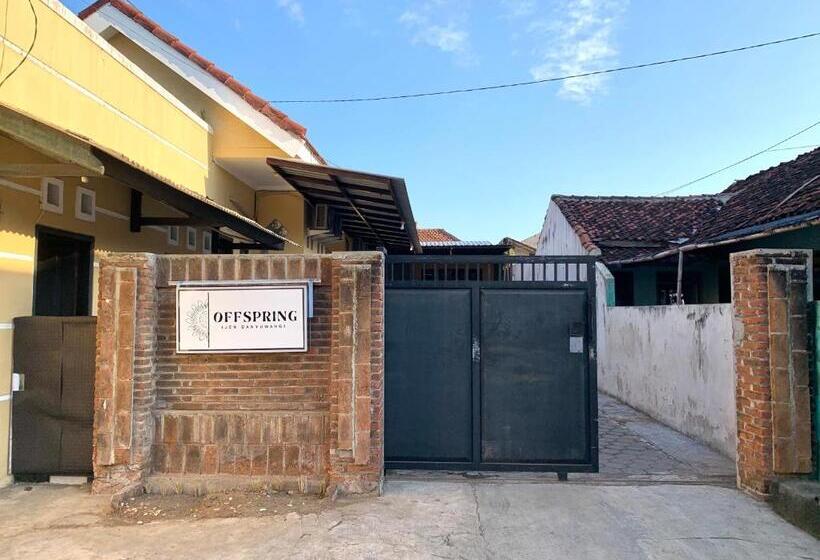 Offspring Ijen Hostel Banyuwangi