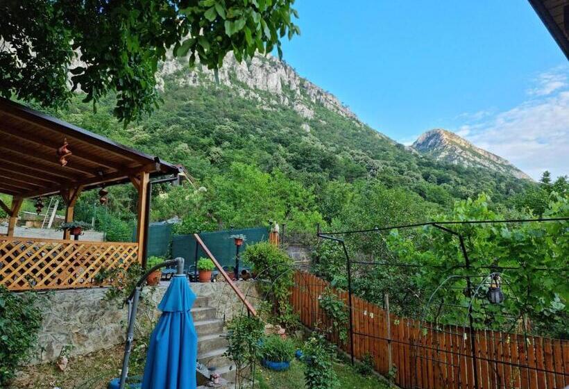 ペンション Casa Coman