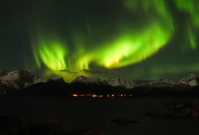 بنسيون Gammelbutikken Gjestegiveri