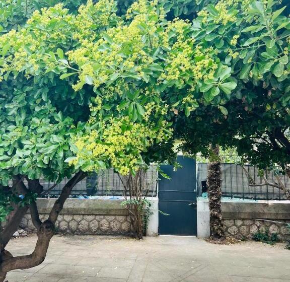 פנסיון Maison 23