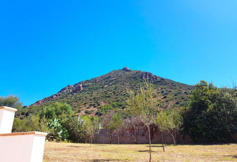 ペンション Nova Rooms