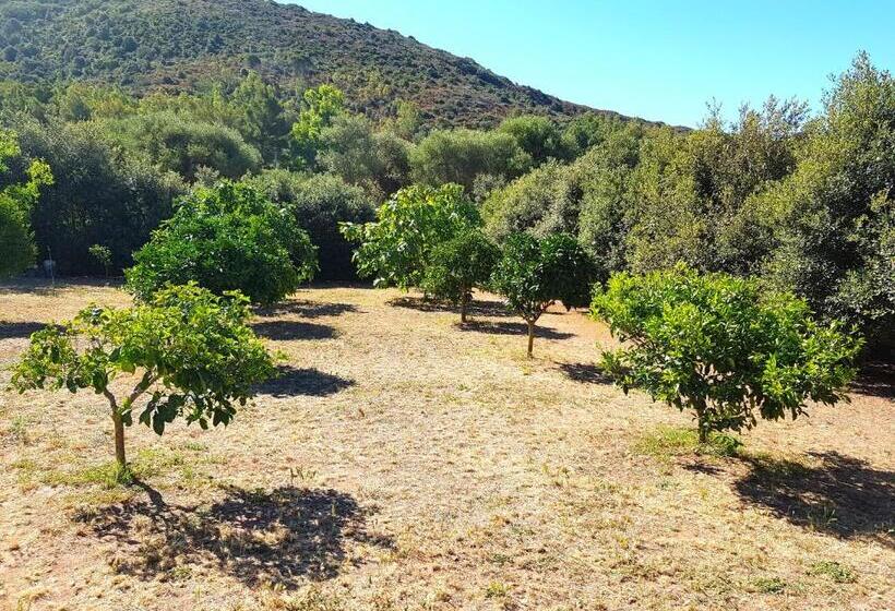 ペンション Nova Rooms