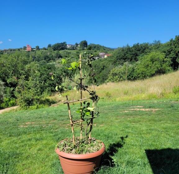 פנסיון Rdm Affittacamere