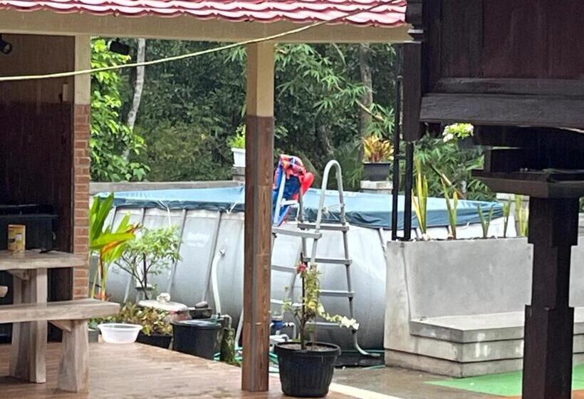 פנסיון Rega House