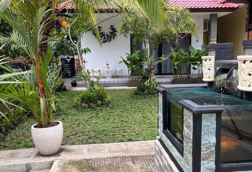 פנסיון Rega House