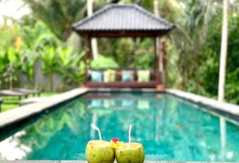 פנסיון Rumanero Bunglows