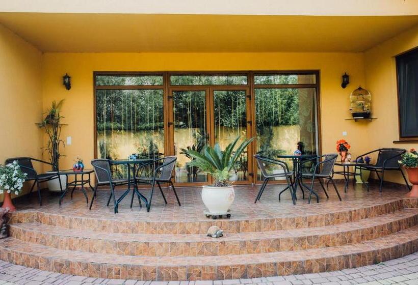 بنسيون Villa Fenix