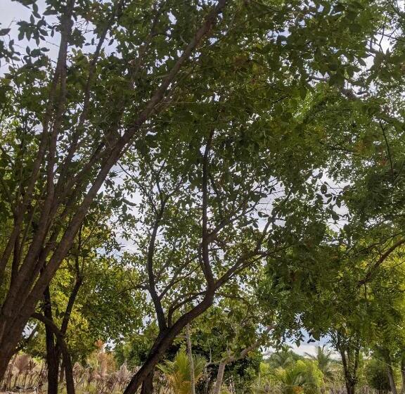 펜션 Whisky Point Hotel Meera