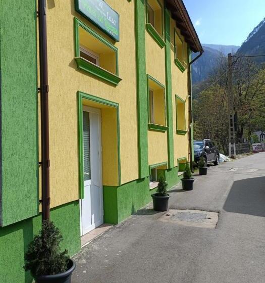 Pensiunea Casa Vlad și Lucas