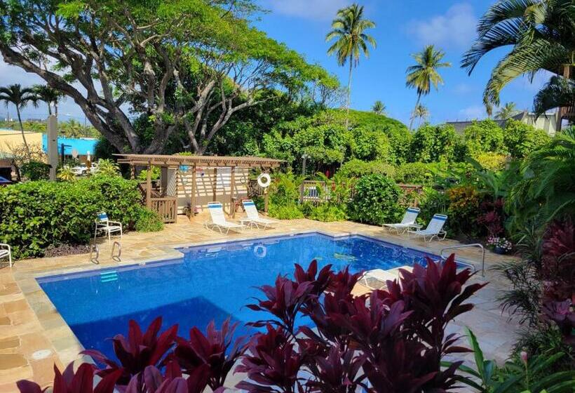 Stunning Oceanfront Condo   The Seashore Hideaway, Wailua Bay View, Unit 208, Kapaa