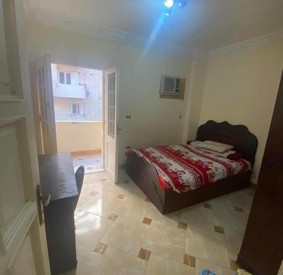 هاستل Perfect Inn