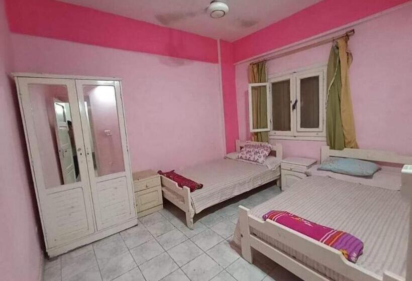 هاستل Simple Inn